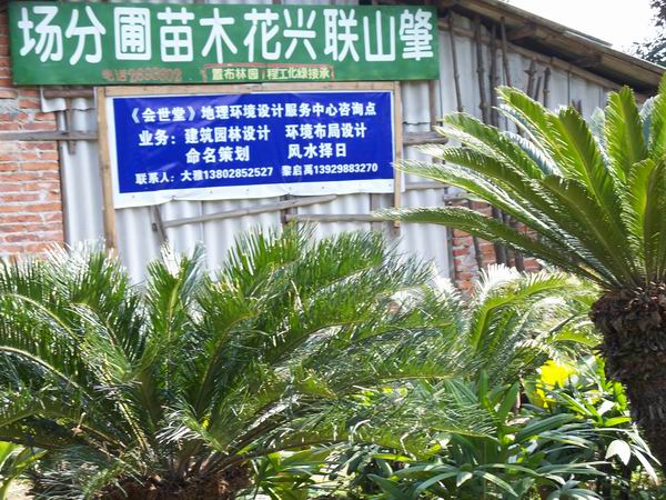 会世堂肇庆市鼎湖区咨询点